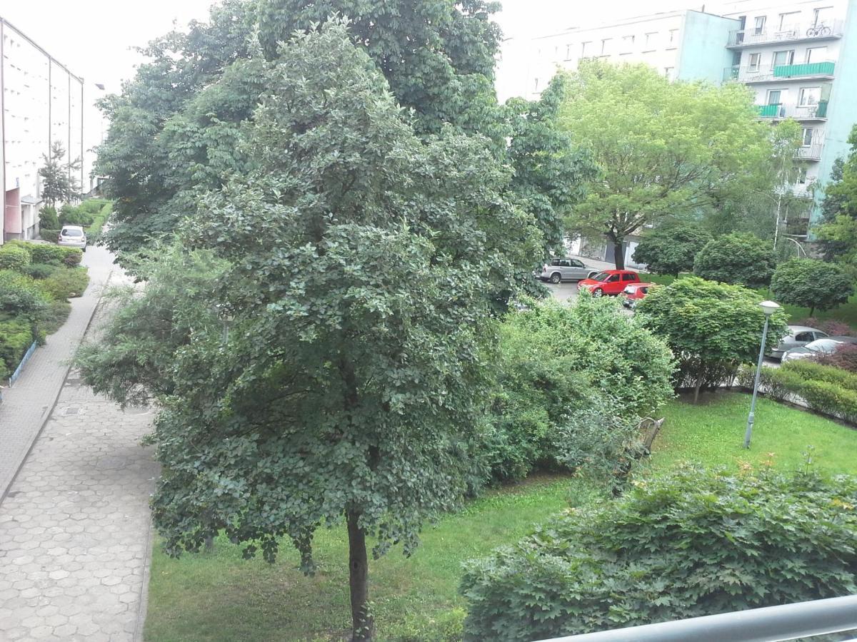 3030 Jana Spychalskiego 32 - Tanie Pokoje W Apartamencie - Samodzielne Zameldowanie - Self Check In Poznan Dış mekan fotoğraf